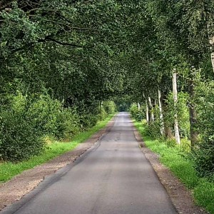 Straße vor meiner Haustür