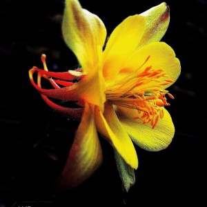 inbound449711096646640670