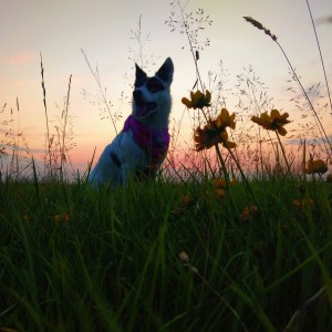 inbound7630663494821653031