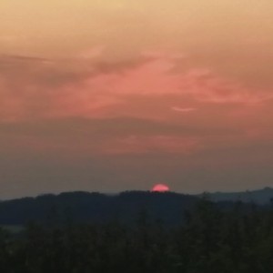 inbound3578567801196524573