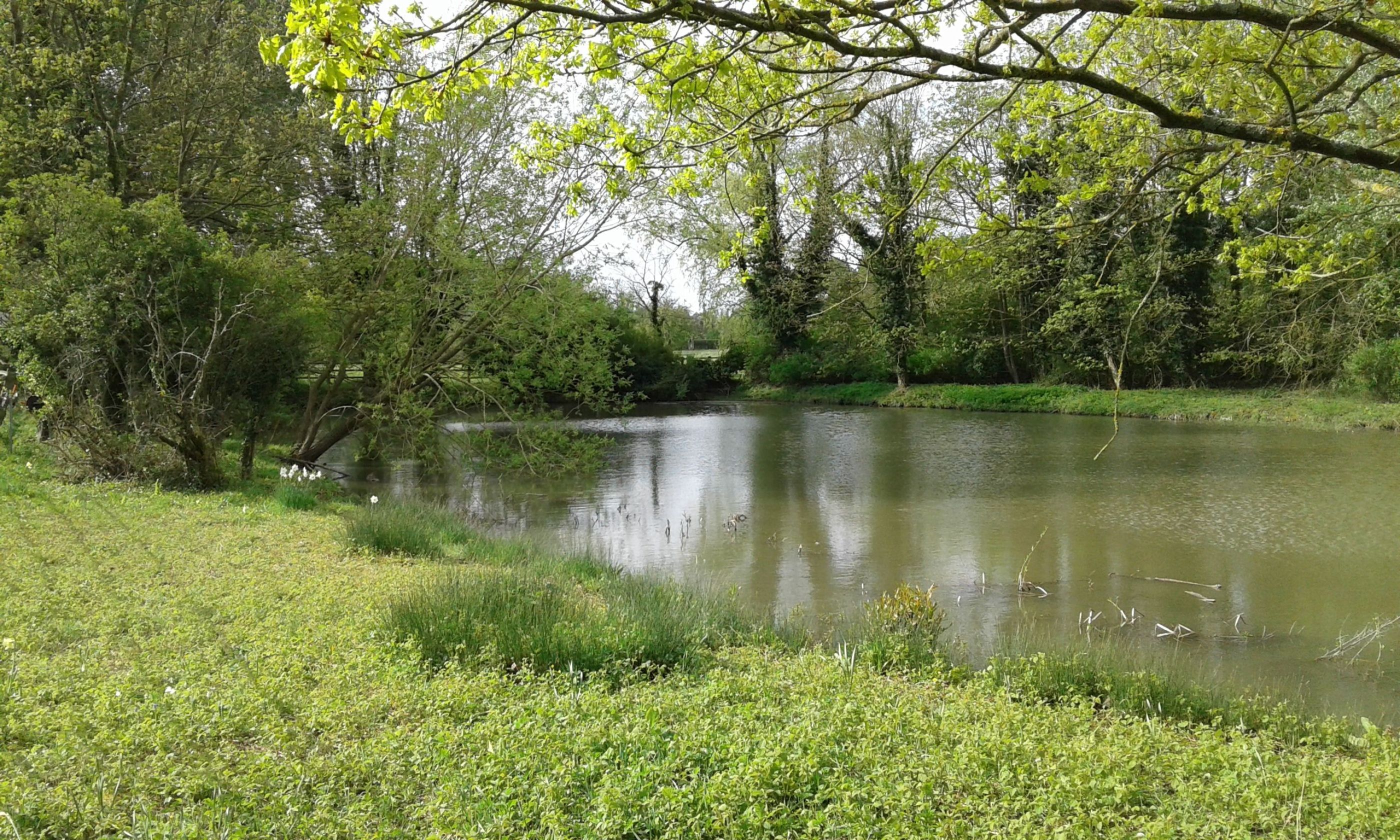 Small pond.