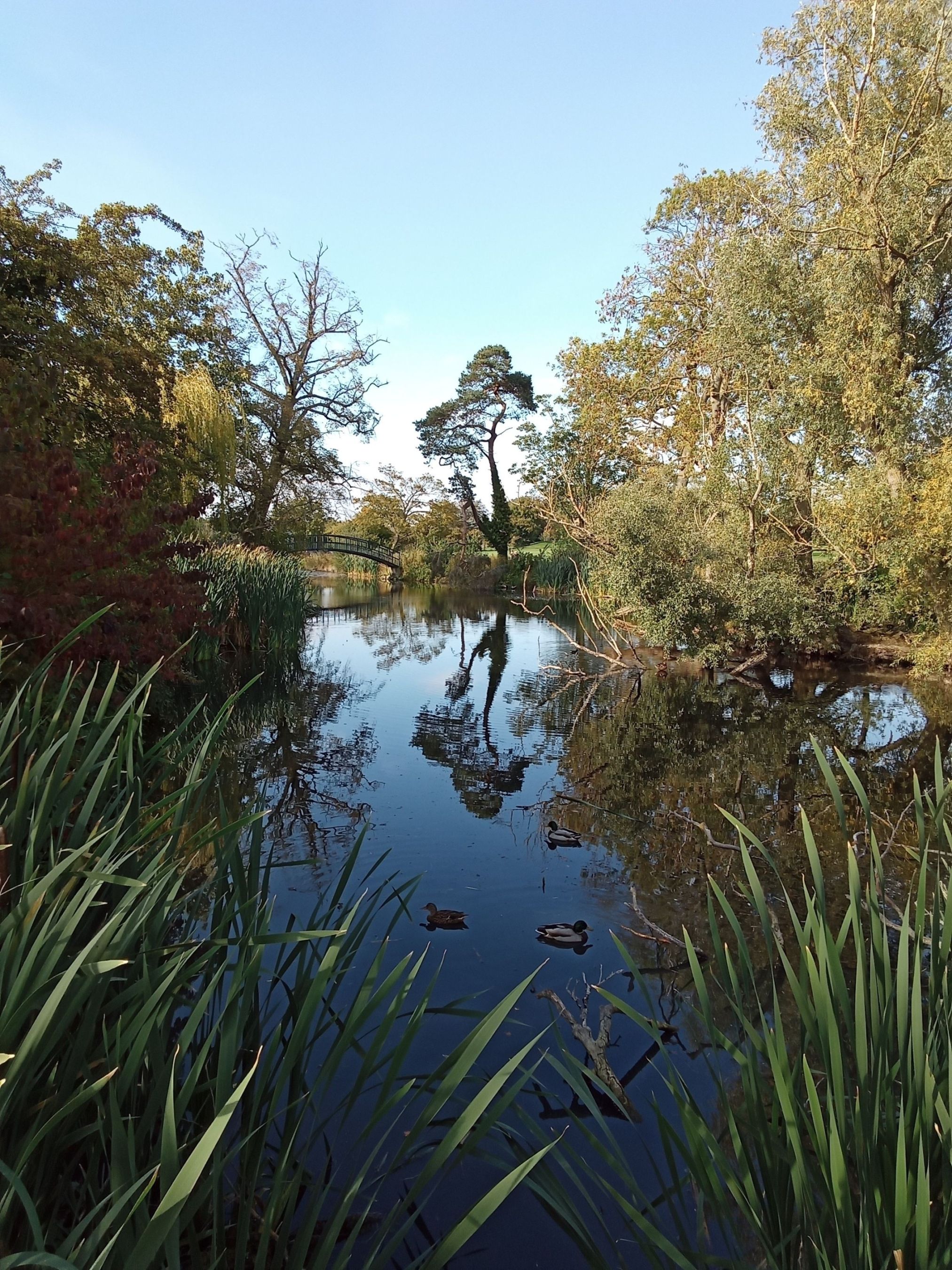 More reflections