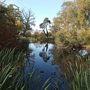 More reflections