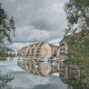 Swan family on river surrounded with buildings with amazing reflections