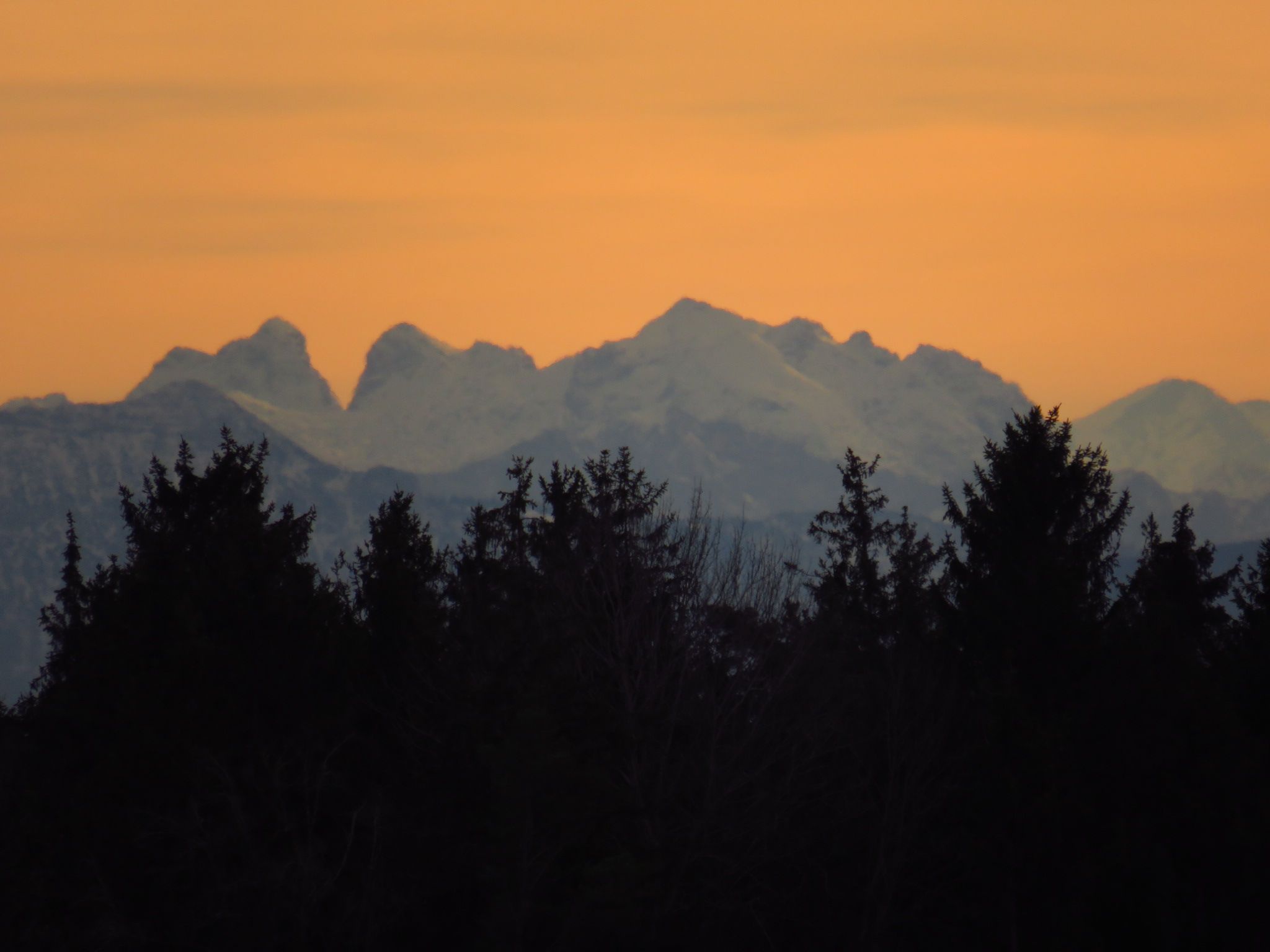 20191215141649_IMG_4509