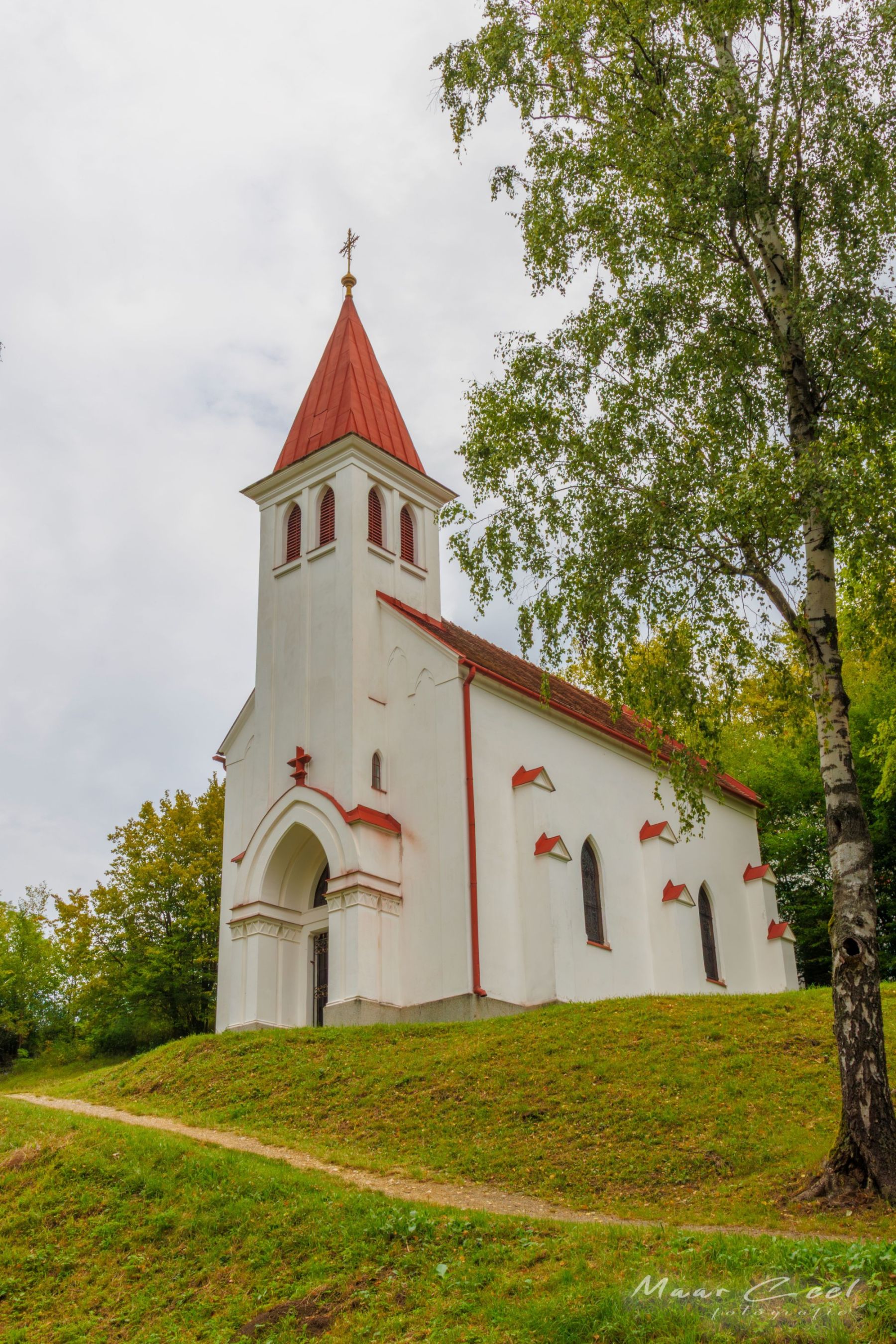 _MG_0243-1