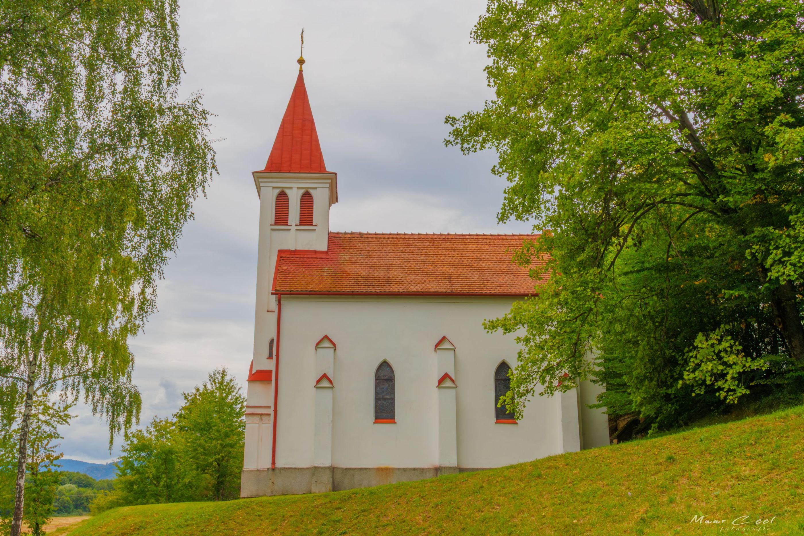 _MG_0247-1