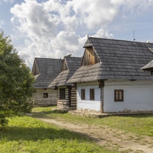 _MG_0256