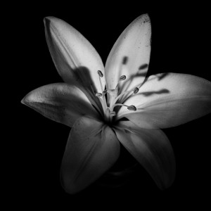 0044