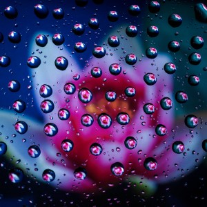 0065