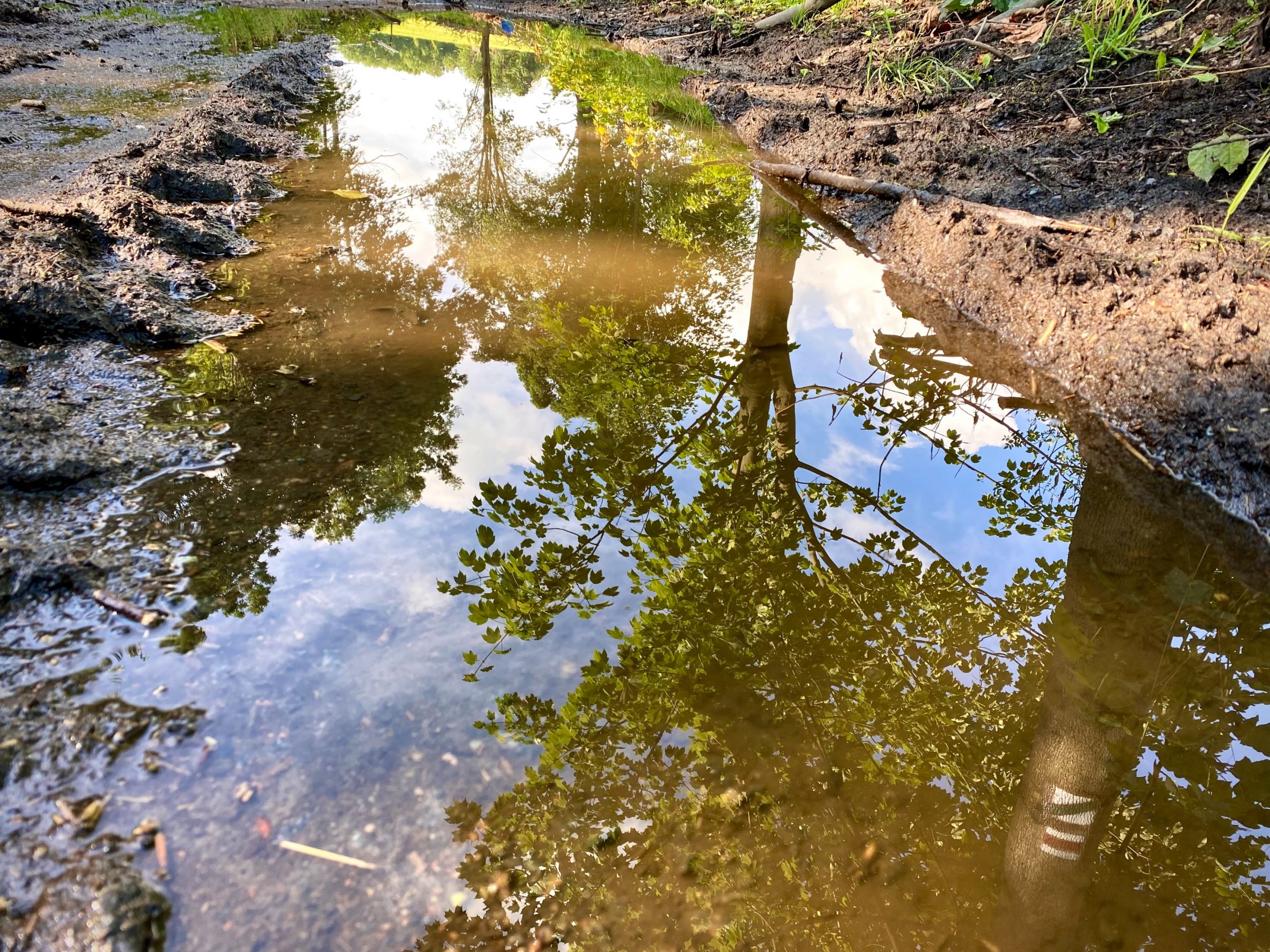 C3AB58A1-DD6A-4994-8756-3D61ED52611E