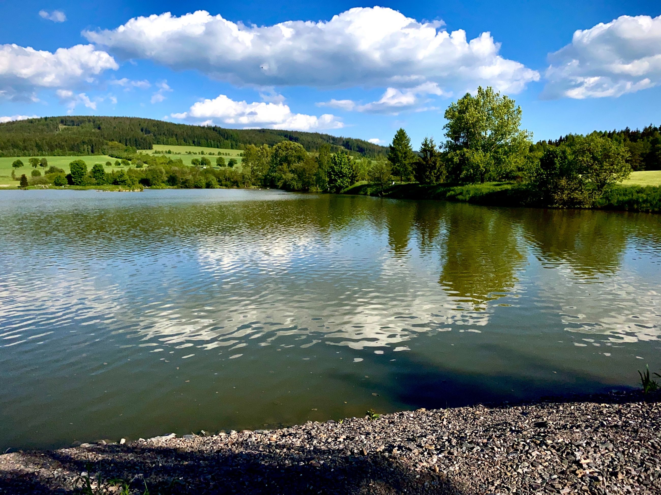 333F7011-E8A1-493A-B1E5-13D6F2351AF1