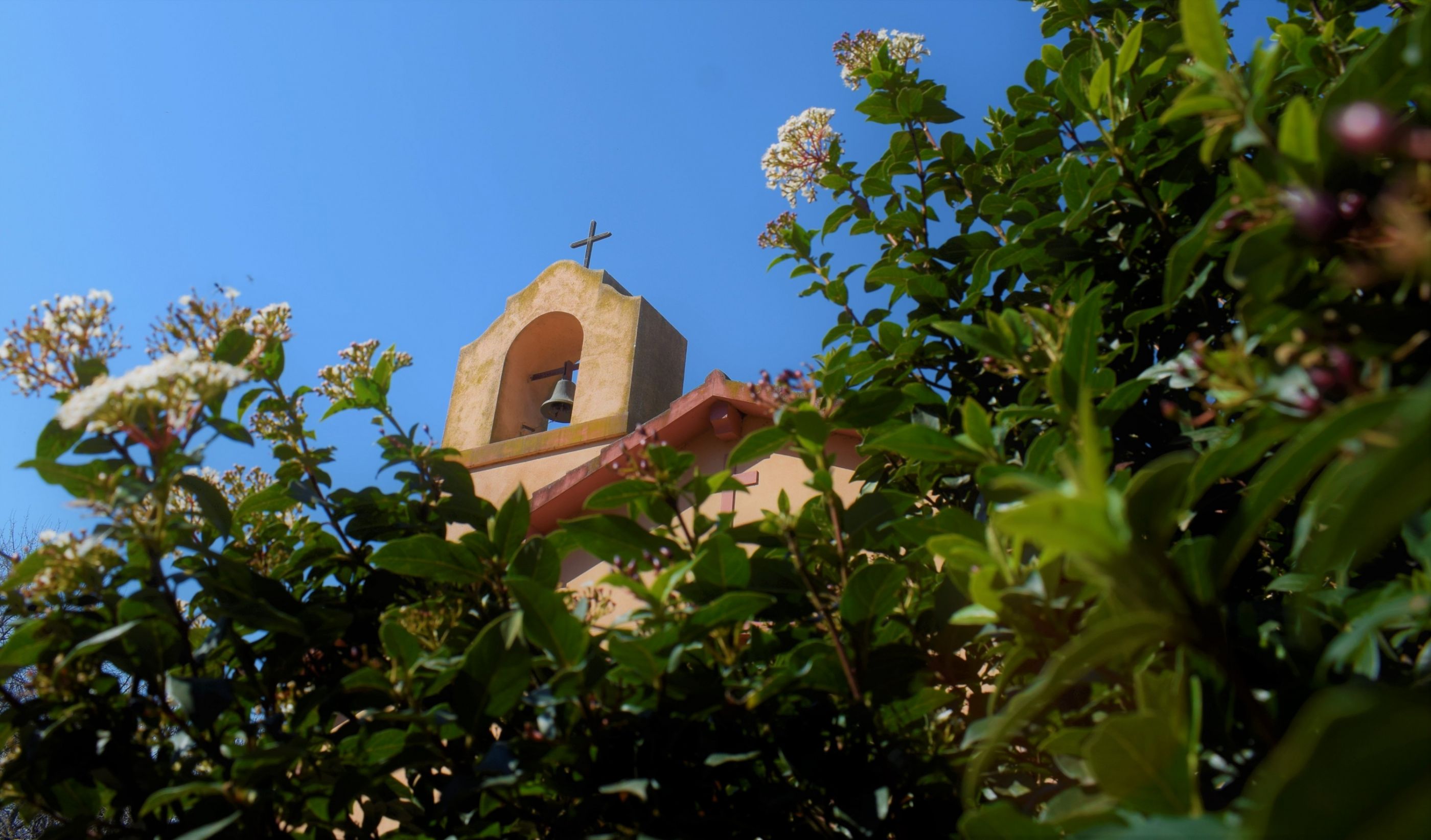 _DSC0064