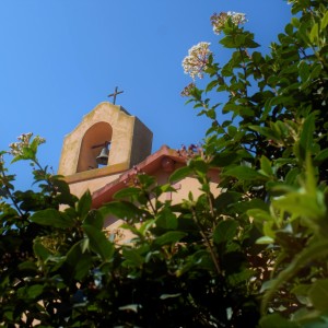 _DSC0064