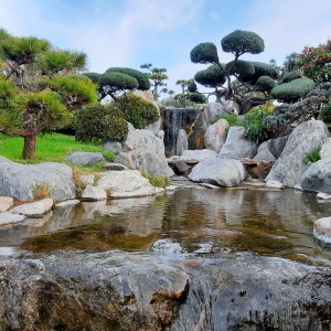 Jardín Japonés. Prov. Buenos Aires . Argentina