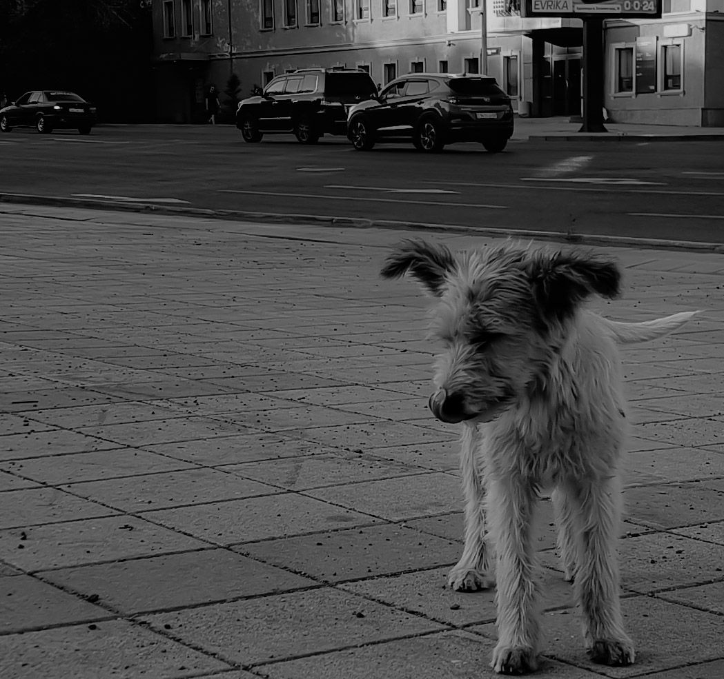 Одиночество