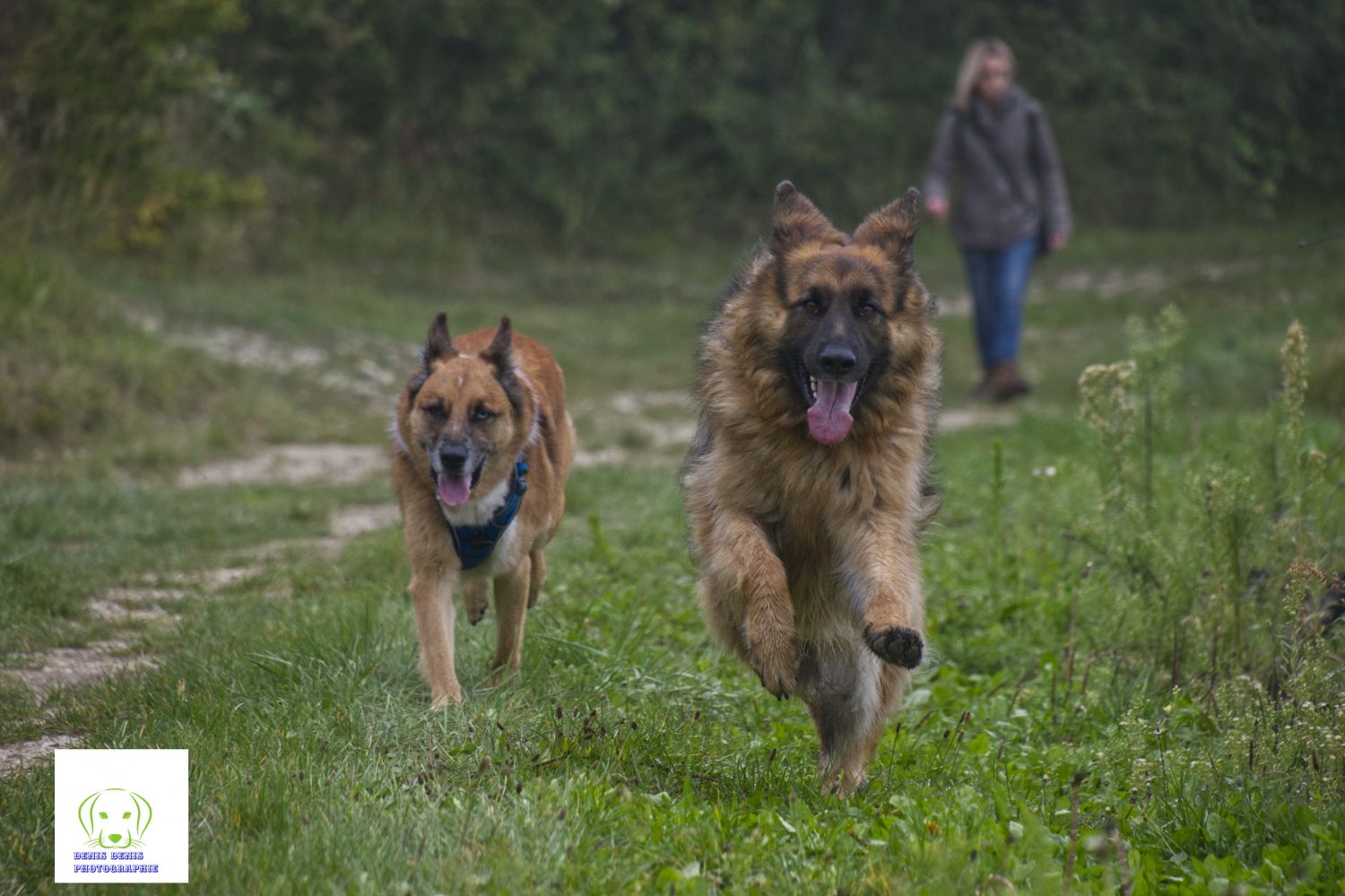 inbound648690159320868930