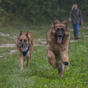 inbound648690159320868930