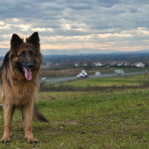 inbound436794733215600982