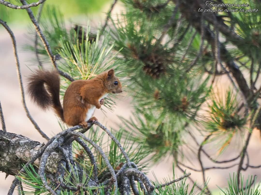 IMG_20210809_100006_518