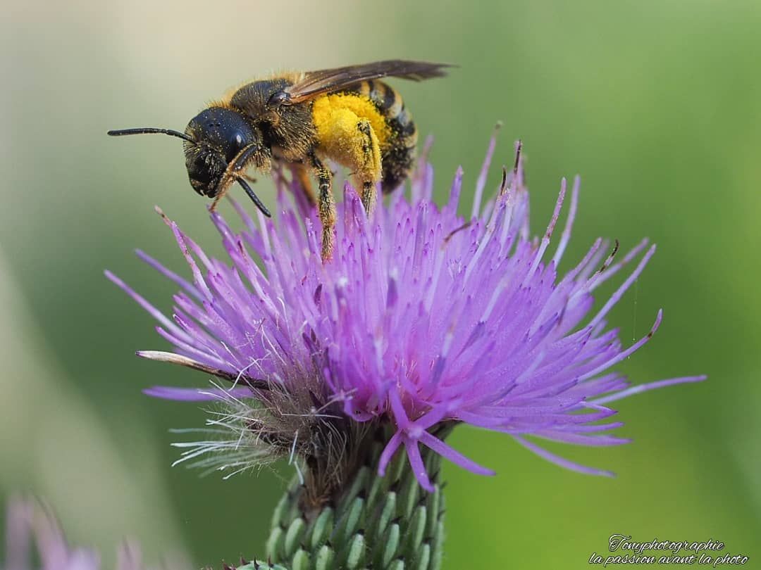 IMG_20210730_130053_130