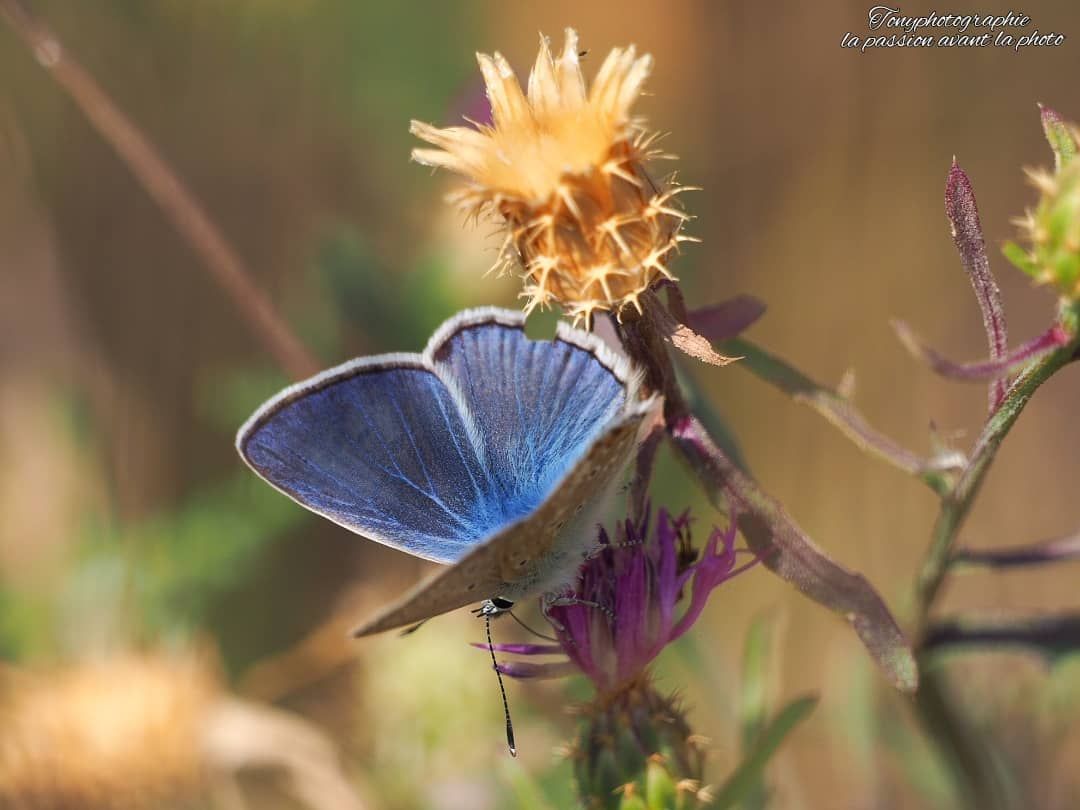 IMG_20210729_130756_099