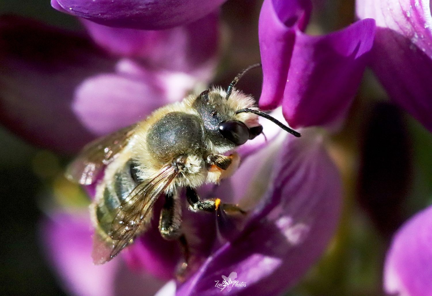 inbound6043897363089033565