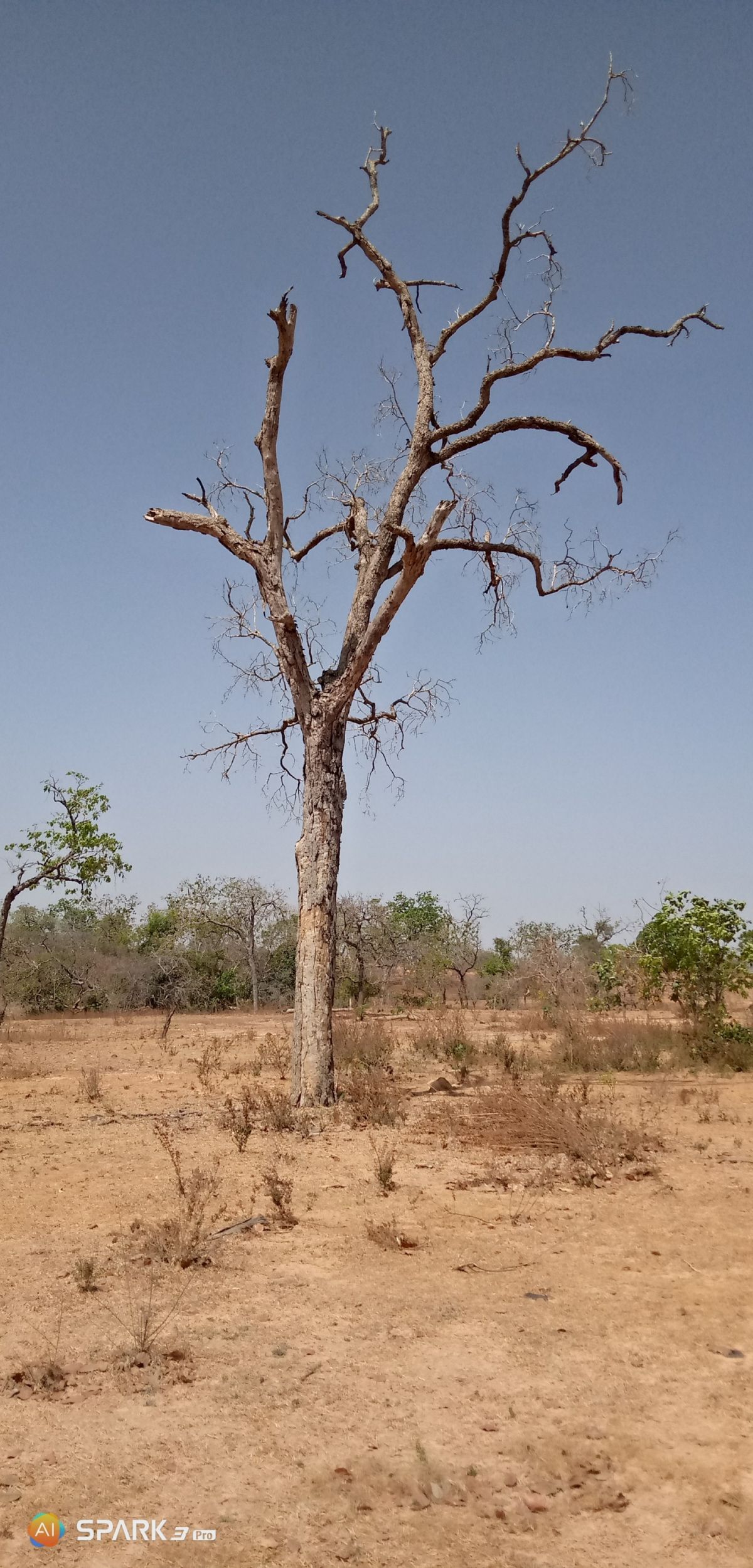 inbound9164939926788014842