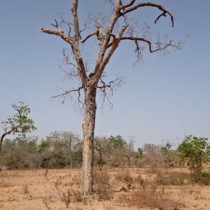 inbound9164939926788014842