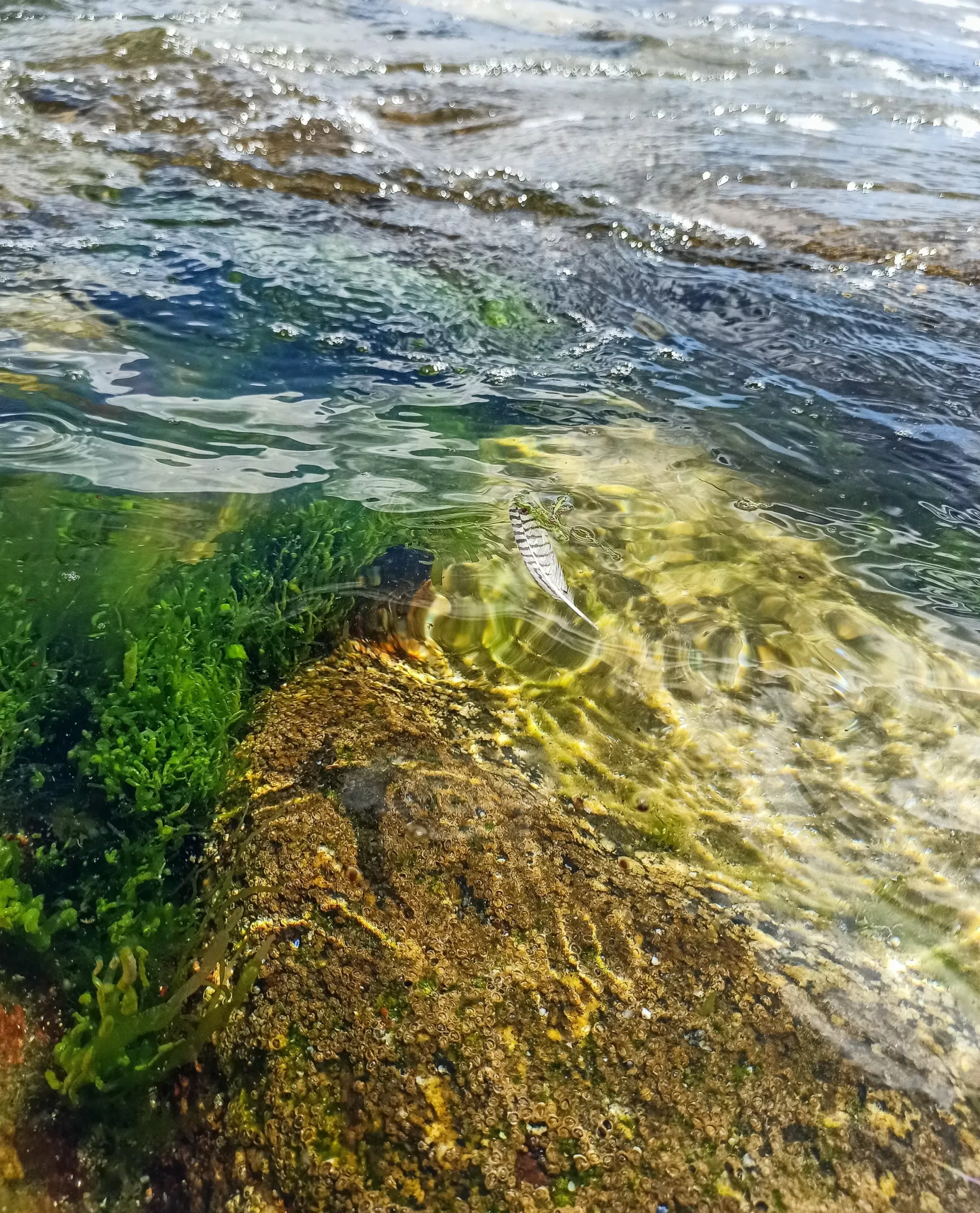 inbound2888902015869786255