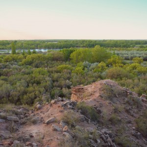 El desierto y el oasis