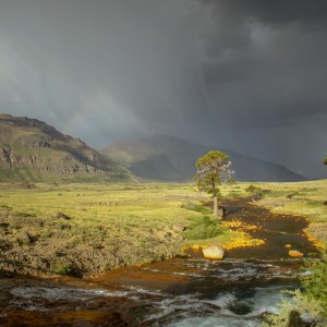 Hacia la tormenta