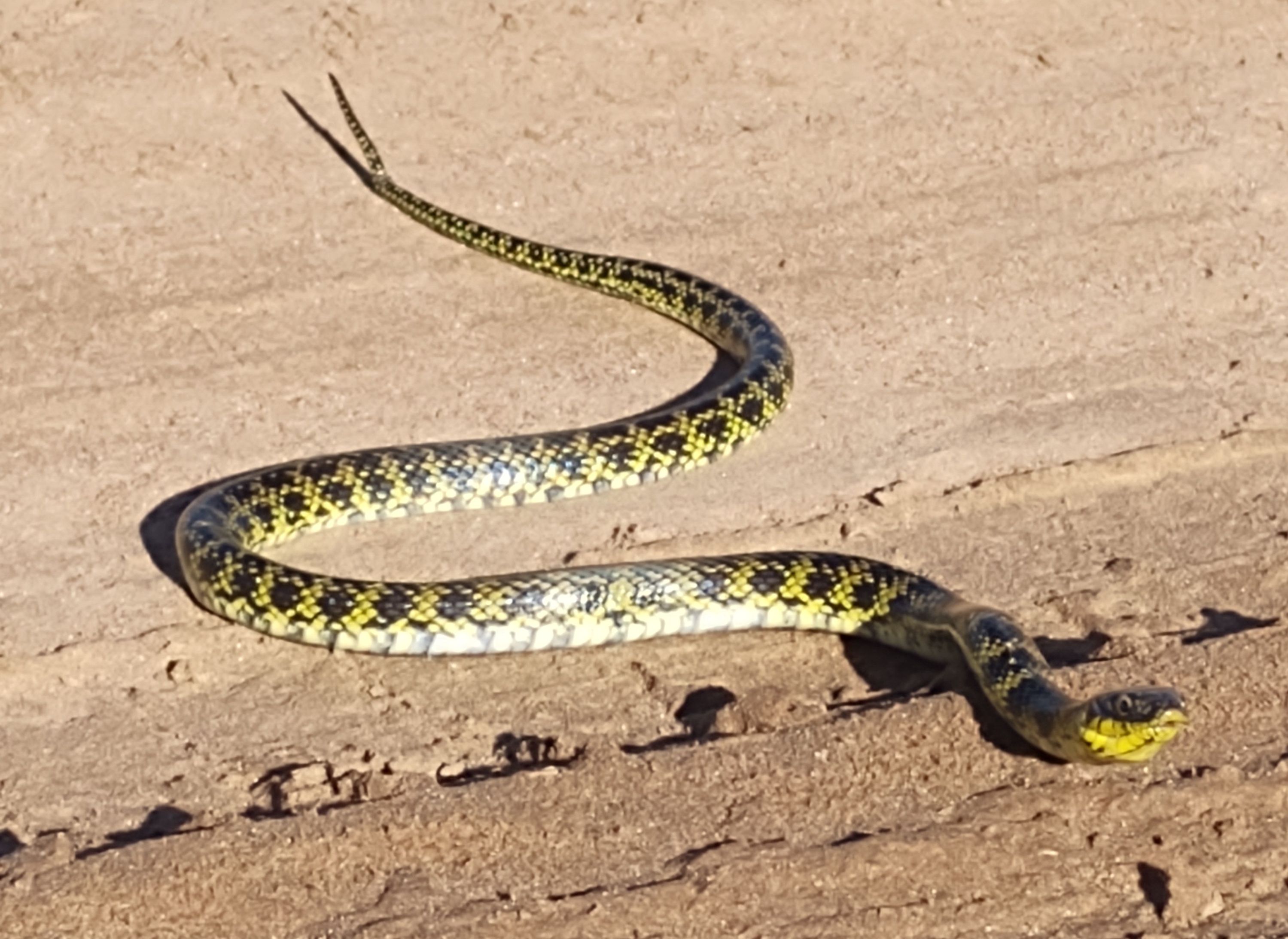 inbound3083043803036407088