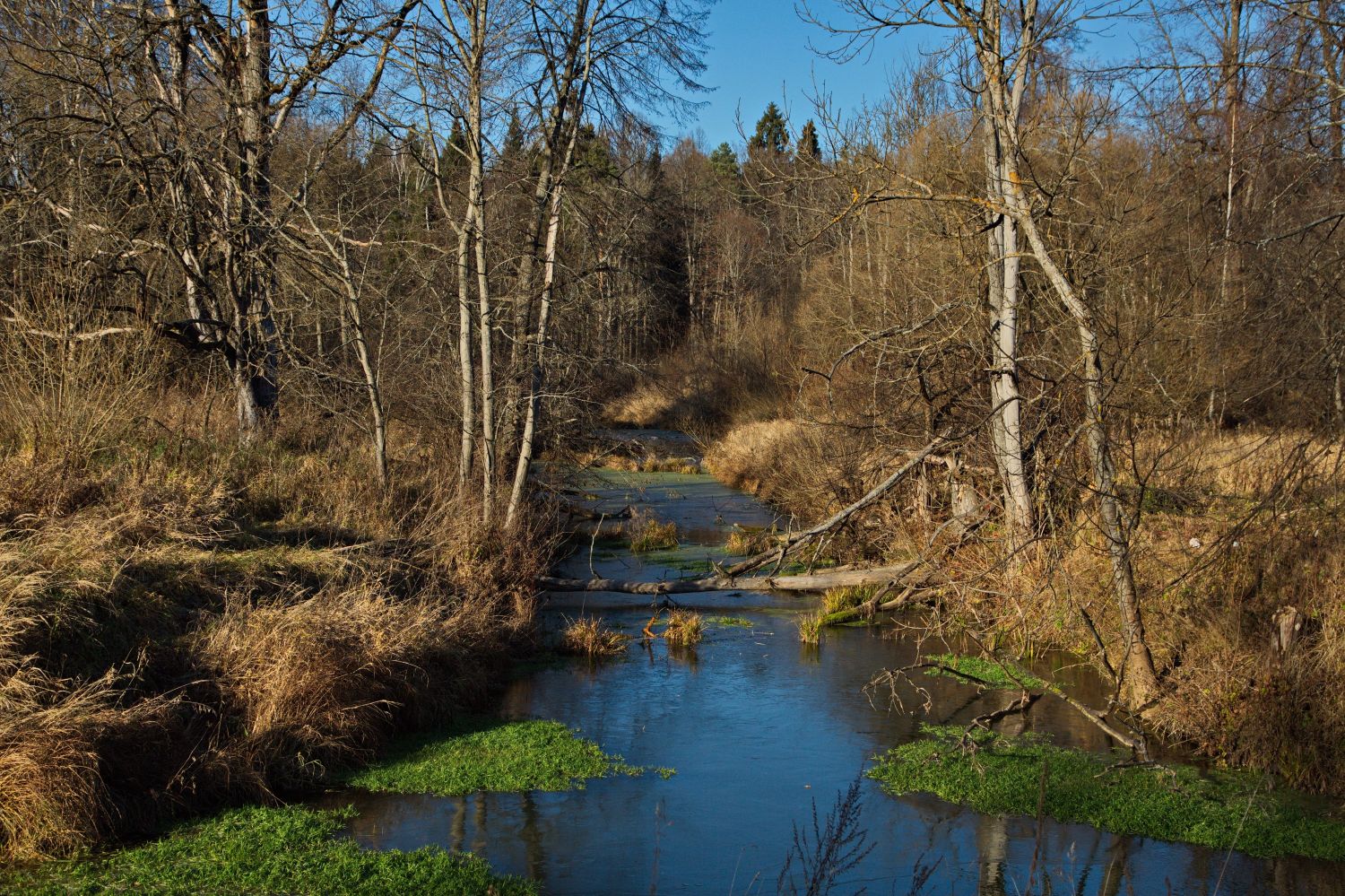 Весенний ручей.