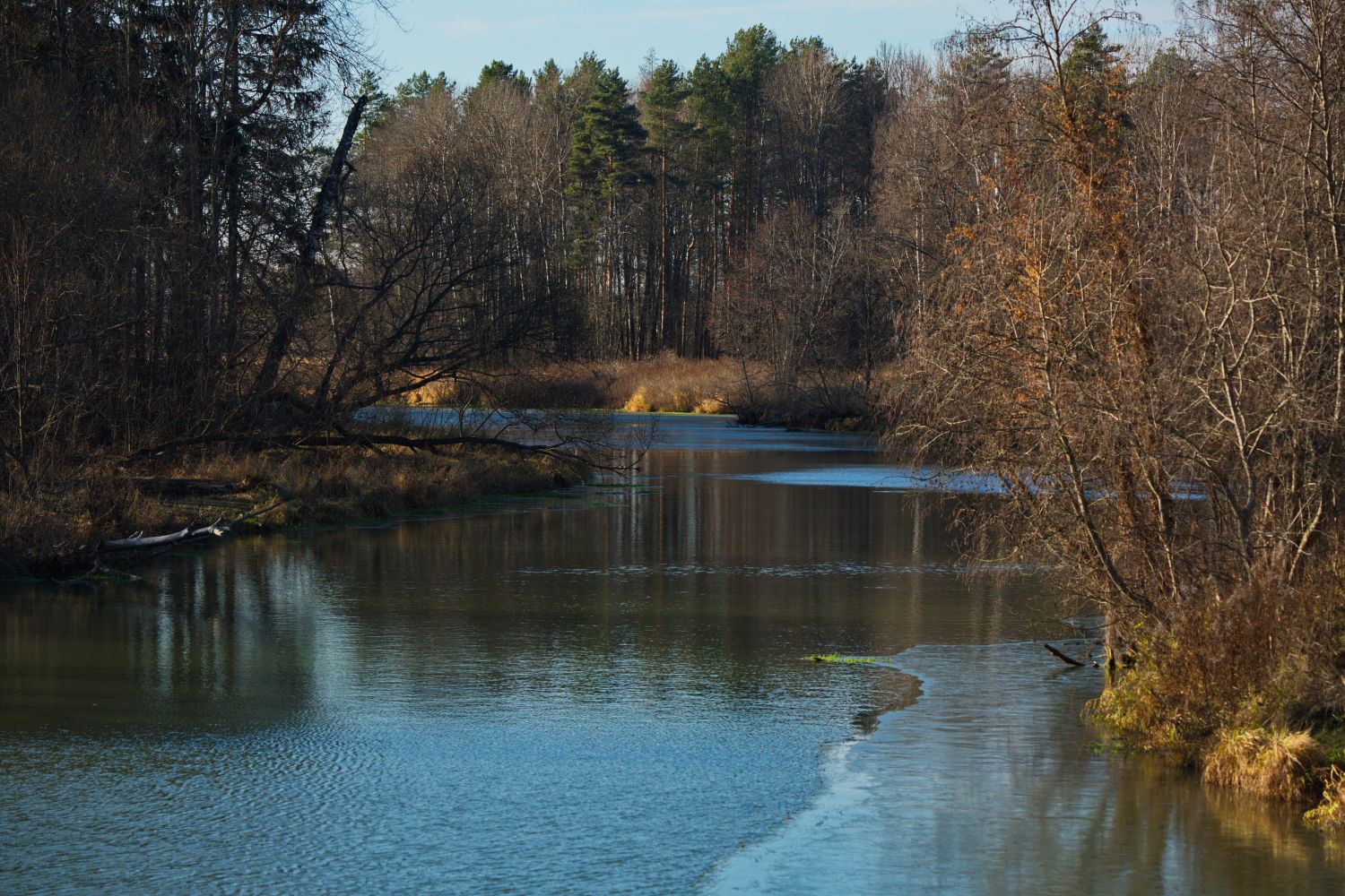 Ранняя весна.