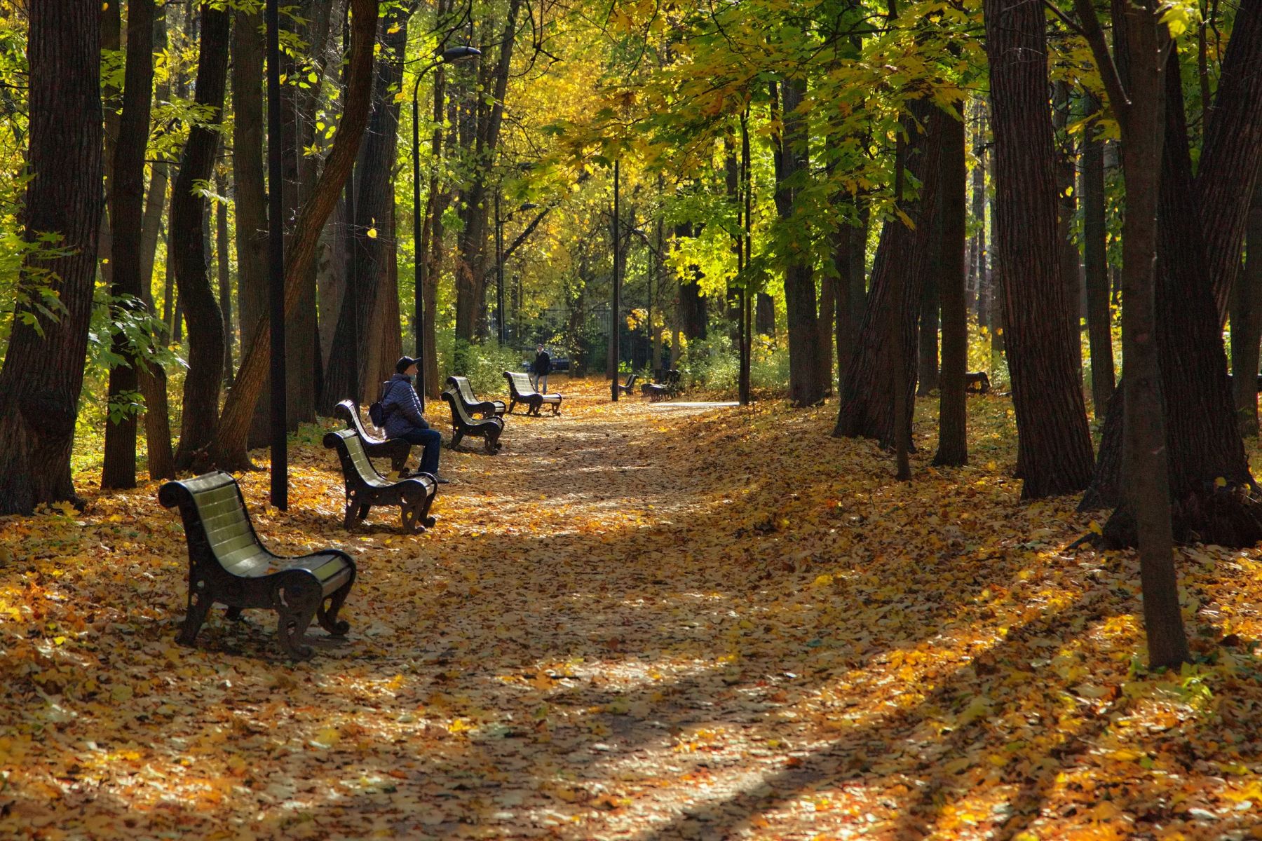 Одиночество.