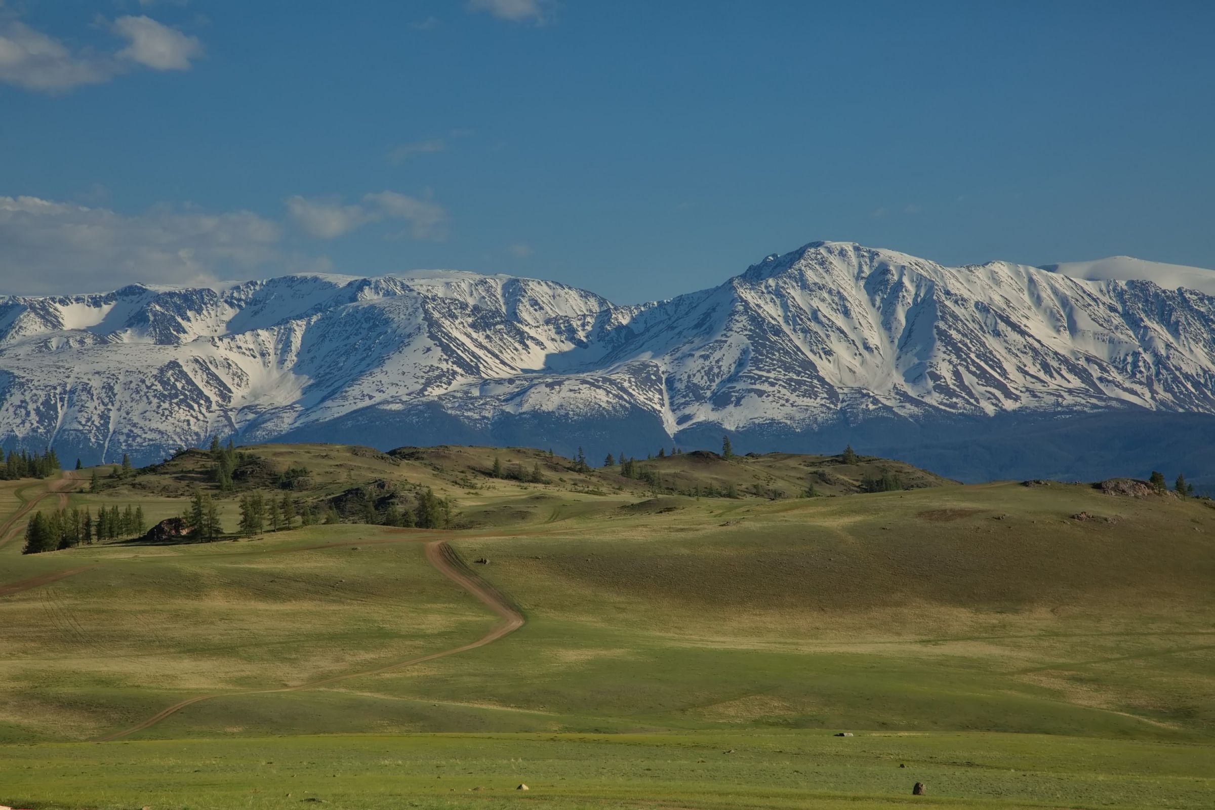 Курайская степь.