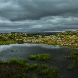 Озеро в Кольской тундре.