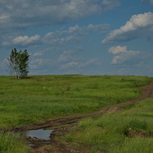 Дорога в поле.