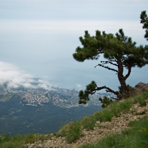 Вид на Ялту с горы Ай-Петри.