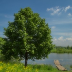 Летний день.