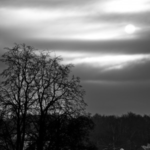 Черно-белое солнце.