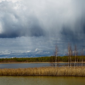 Весенний дождь.