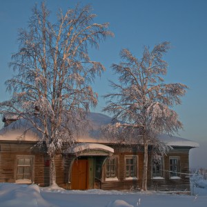 Дерева.