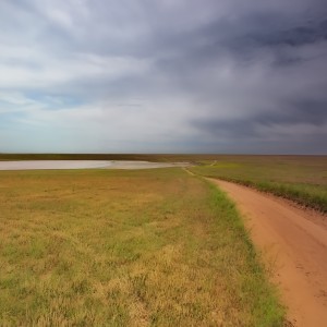 Перед грозой.
