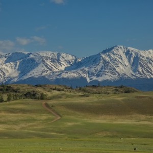 Курайская степь.