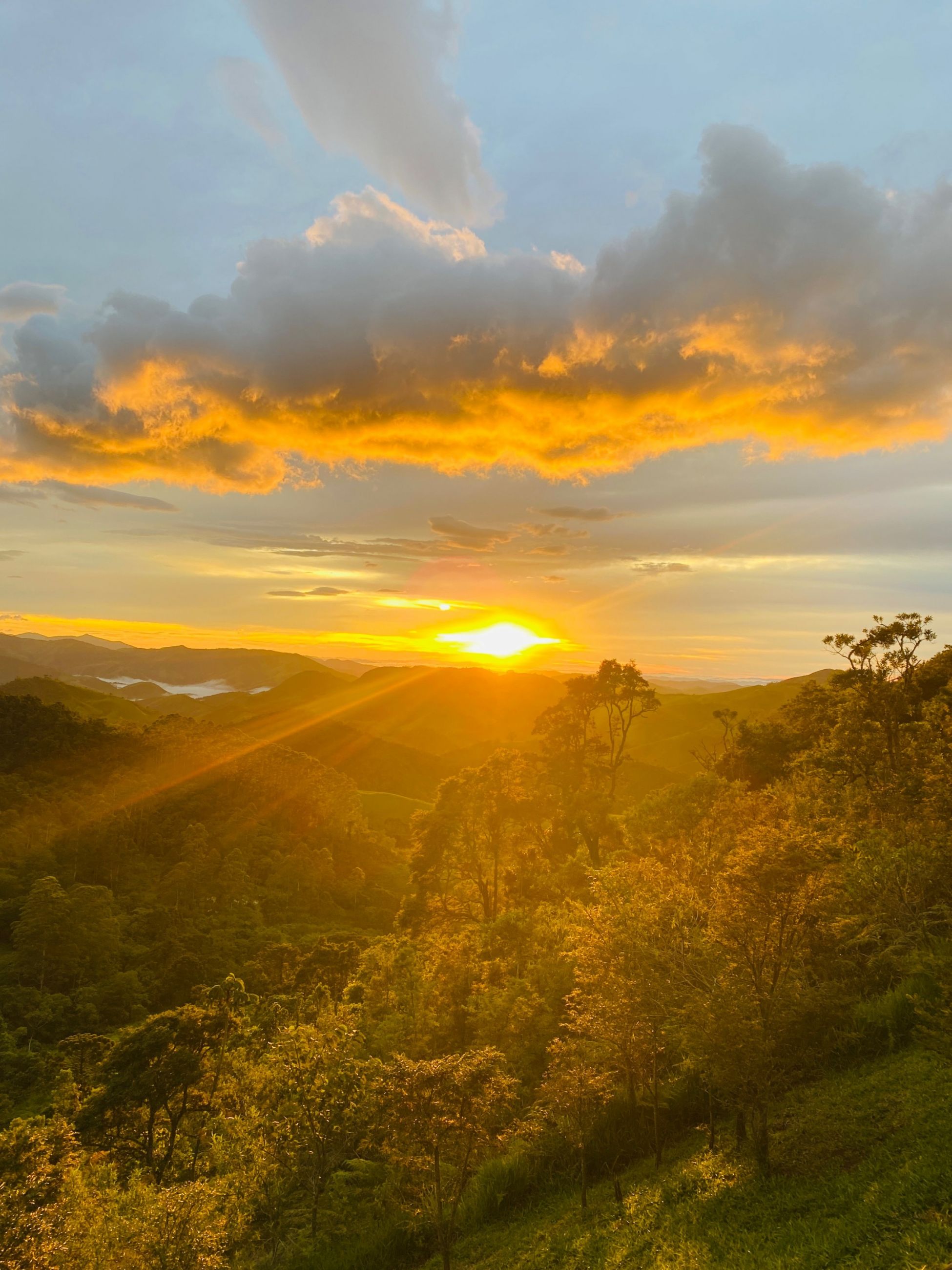 C0435904-6CD8-4699-AB57-27967D4E2809