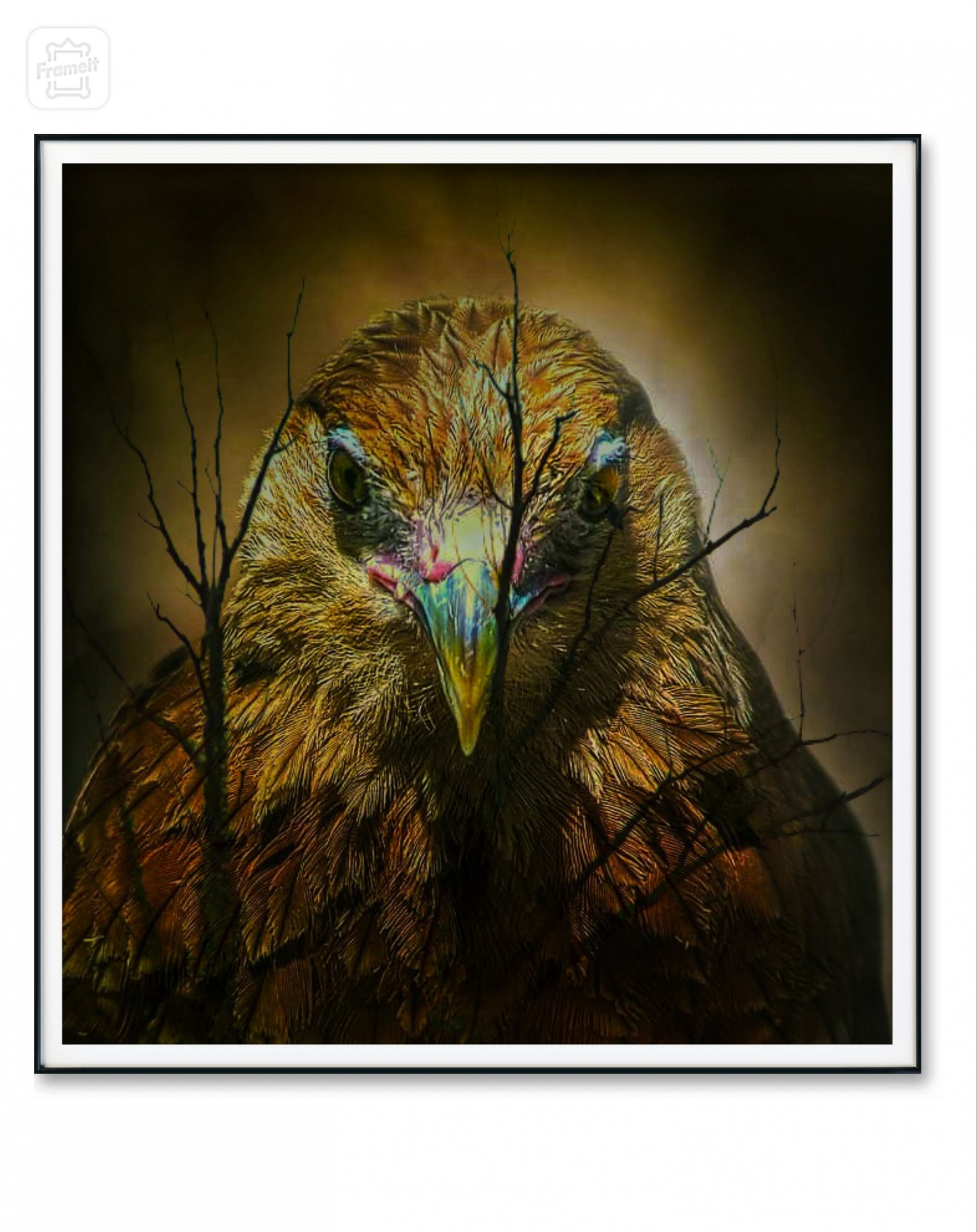 bf4b4560-8eda-11ee-8b4b-3d2891e87934