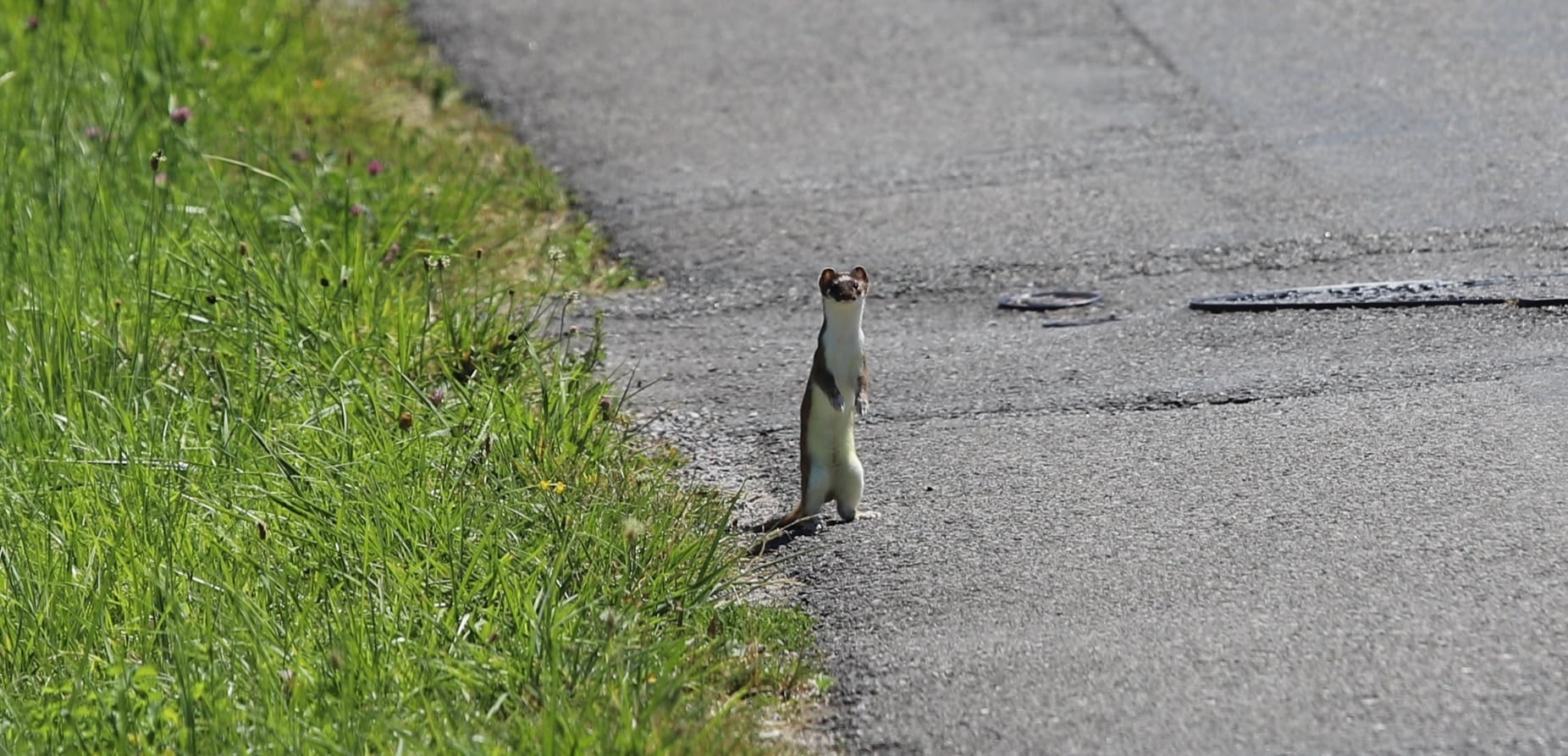 110340461_10219347413290921_4809238551485539964_n(1)