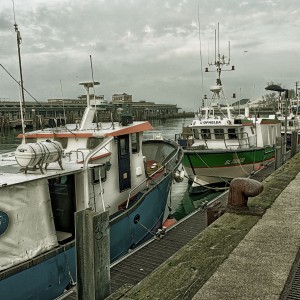 Port de Boulogne sur Mer